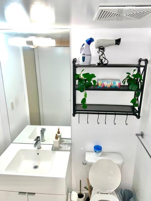 Luxurious Condo In The Center Of Downtown 多伦多 外观 照片